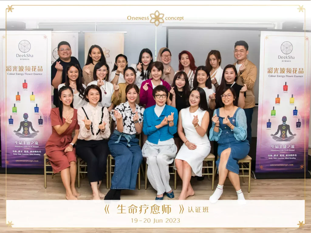 professional-life-healer-2